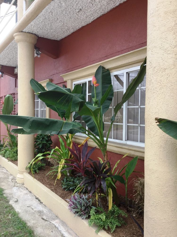 Inn Flight Suites Piarco Exterior photo